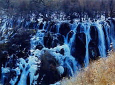 ��կ��Ϭţ��