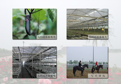 ����(gu��)���r(n��ng)�ƈ@���ζȼم^(q��)