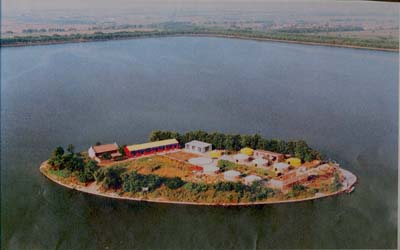 �����Ϻ��Θ��@