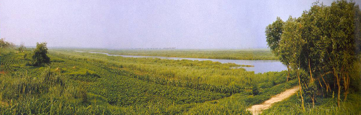 ���ﺣ���Ҽ���Ȼ���o�^(q��)