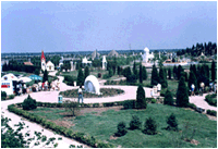 ���С����